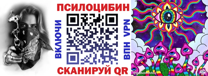 Псилоцибиновые грибы Psilocybine cubensis  OMG   Зима 